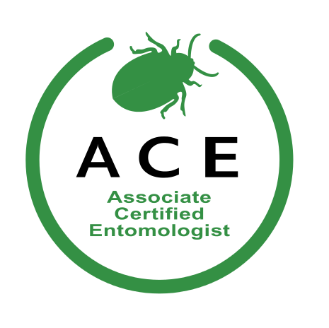 ACE Certification